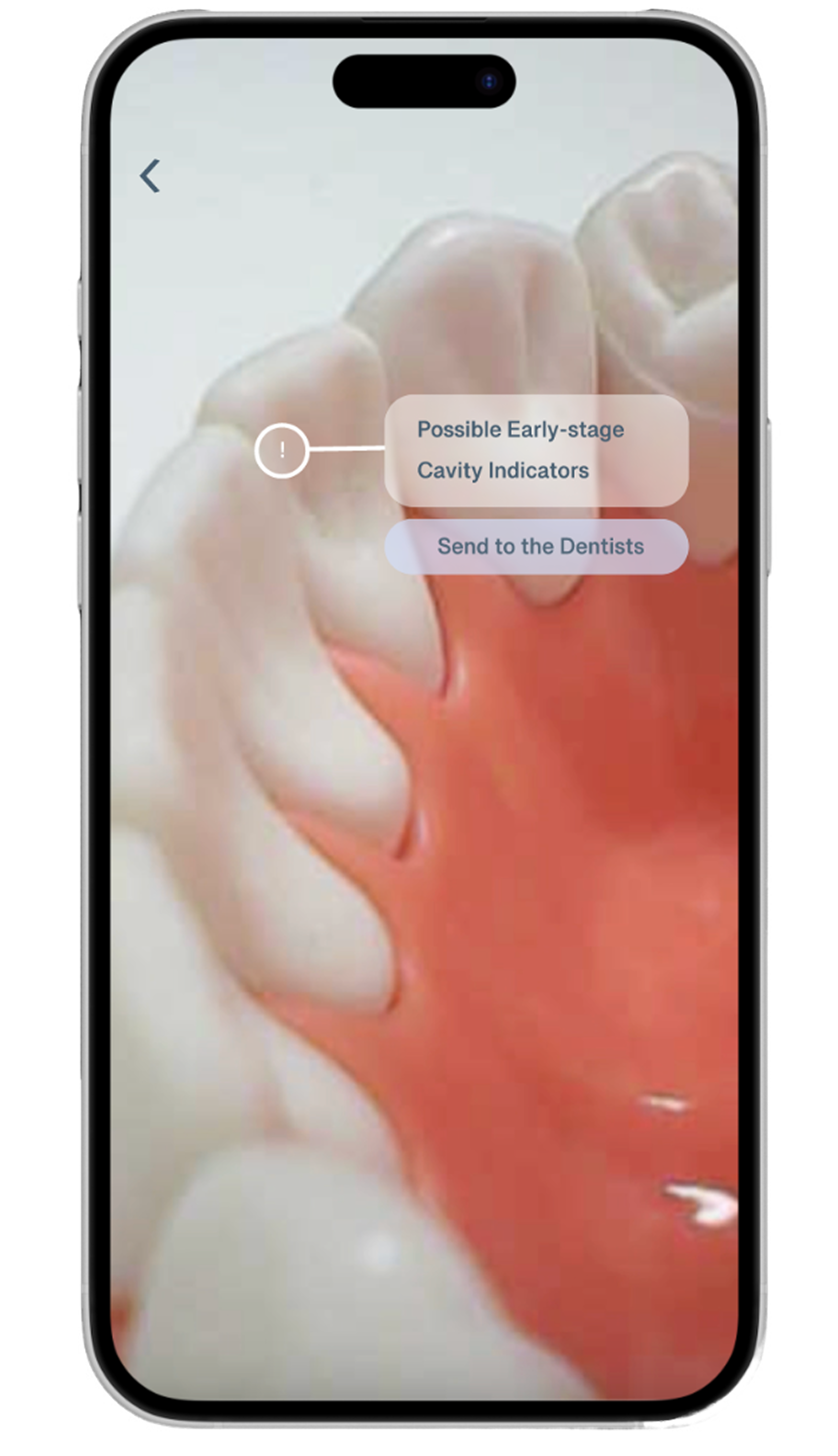 Live Scan