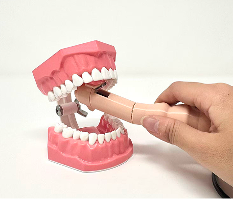 Teeth